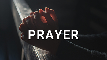 2026 Bible Reading Plans